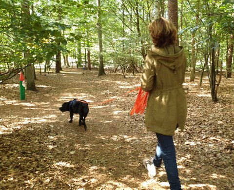Foto van Nienke Valbracht wandelend in het bos met de hond